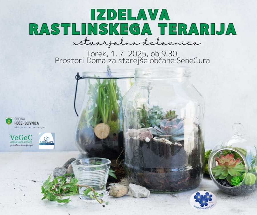 Izdelava rastlinskega terarija (ustvarjalna delavnica)